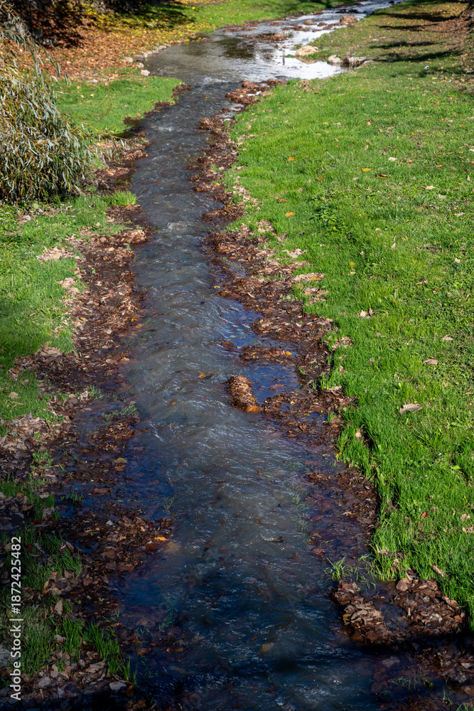 Obraz premium A tranquil park stream meanders through a bed of dried autumn leaves with tree trunks rising along the grassy embankments. The crisp fall lighting highlights the textures of the leaf litter.