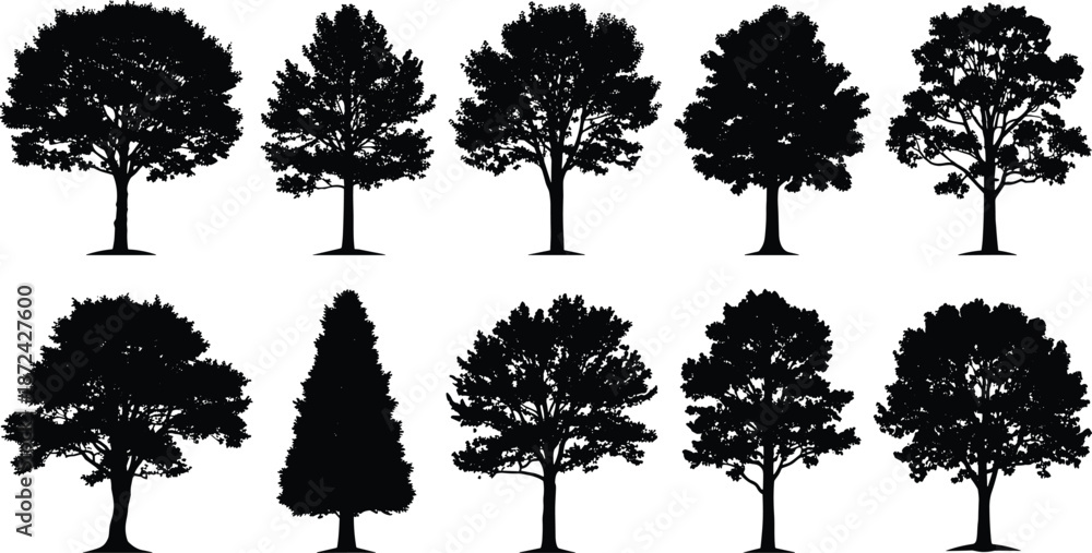 Fototapeta premium Tree silhouettes, black outlines, botanical shapes, foliage patterns, nature icons, landscape design, artistic trees, forest elements, plant forms, white background