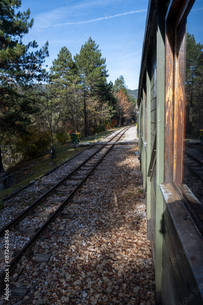 Fototapeta premium A close perspective from the side of an old green train carriage reveals railway tracks and a leafy forest setting on a sunny day. 
