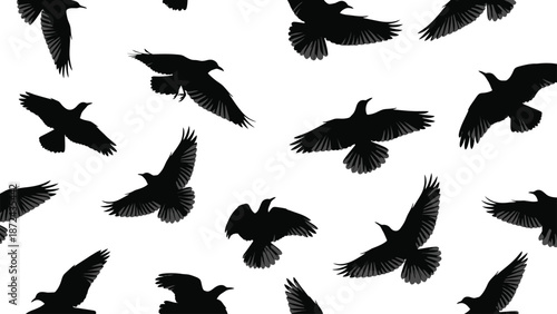 Flying Black Birds Silhouettes on White Background