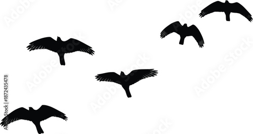Flock of Birds in Flight Silhouettes