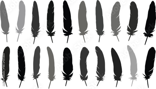 Monochrome Feather Silhouettes Collection