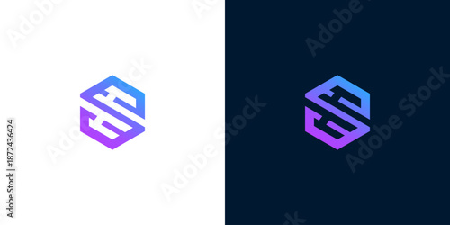 Abstract hexagonal logo design with gradient purple and blue colors on white and dark backgrounds