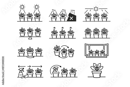 Care leaves even herb healthy logic icons beam equal vector window icon
