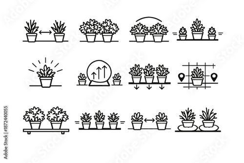 Spacing plant icon herb gaps canopy herbs proper calm allowance vector expansion