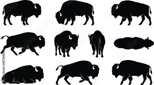 American bison silhouette illustration, black bison, wildlife vector, standing bison, walking bison, running bison, lying bison, frontal view, nature art, safari animal, gray background