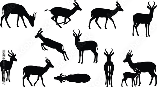 Antelope silhouette illustration, black antelope, wildlife vector, standing antelope, grazing antelope, leaping antelope, lying antelope, mother and calf, nature art, safari animal, gray background