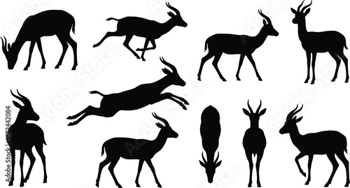 Antelope silhouette illustration, black antelope, wildlife vector, standing antelope, walking antelope, leaping antelope, grazing antelope, nature art, safari animal, gray background