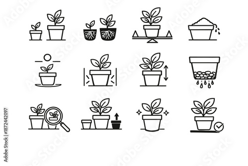 Calm root logic pot vector plant size icon selection ball