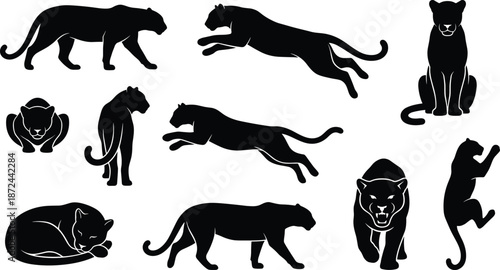Big cat and monkey silhouettes, wild animal poses, jungle vector art, predator and primate design, nature illustration set