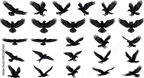 Bird silhouette collection, flying poses, wing positions, owl shapes, black icons, nature vector, flight dynamics, gray background, artistic grid