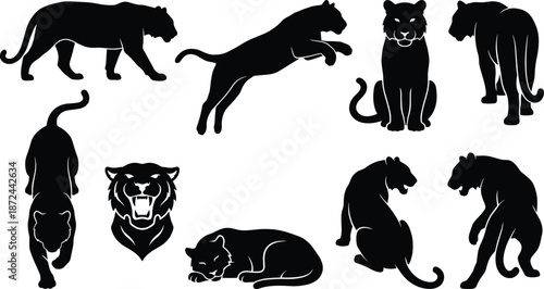 Black panther silhouettes, wild feline poses, jungle predator shapes, panther movement study, animal shadow art, wildlife vector illustration, design elements