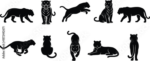 Black tiger and panther silhouettes, wild feline poses, jungle predator shapes, animal motion study, vector illustration, design elements, wildlife art