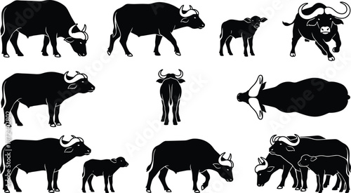Buffalo silhouettes, walking buffalo, standing buffalo, charging buffalo, calf with adult, top view, rear view, wildlife art, nature illustration, animal motion, buffalo anatomy