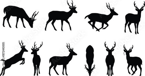 Deer silhouette illustration, black deer, wildlife vector, antlered animal, standing deer, walking deer, leaping deer, top view, nature art, safari animal, gray background, wild animal clipart