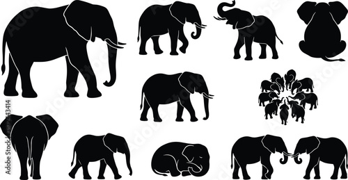 Elephant silhouette set, elephant poses, walking elephant graphic, sitting elephant icon, lying elephant vector, elephant motion study, stylized elephant clipart, bold elephant design