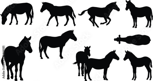 Horse silhouette illustration, black horse, wildlife vector, standing horse, walking horse, running horse, grazing horse, top-down view, nature art, equine anatomy, gray background