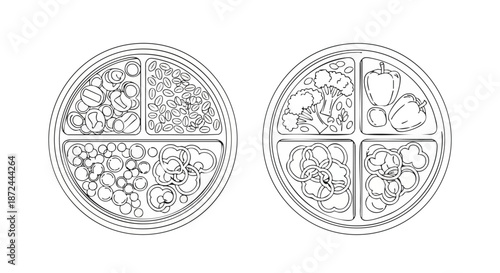 Healthy eating divided plate concept, line art illustration of food portions for balanced nutrition