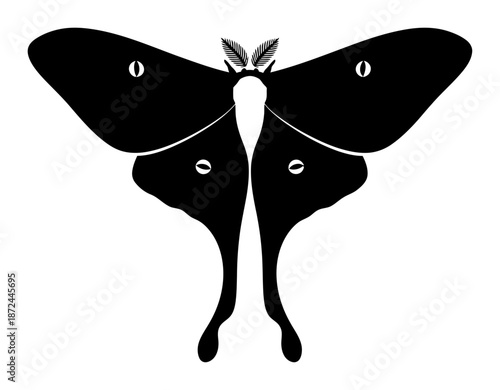 Luna Moth Silhouette - Minimalist Vector Illustration