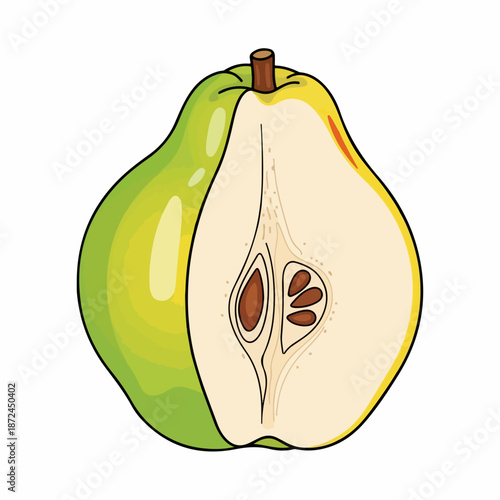 Whole quince fruit, half cut, reveals its pale flesh and seeds against white. Fresh quince fruit, with distinct texture and aroma, perfect for culinary uses.