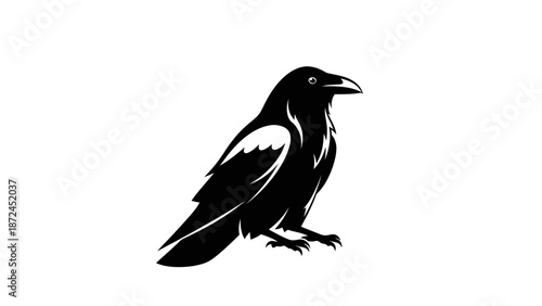 Majestic Black Raven Perched with Elegant Silhouette.