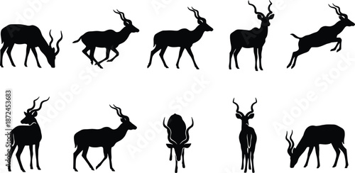 Antelope silhouette illustration, black antelope, wildlife vector, standing antelope, walking antelope, leaping antelope, grazing antelope, side view, front view, nature art