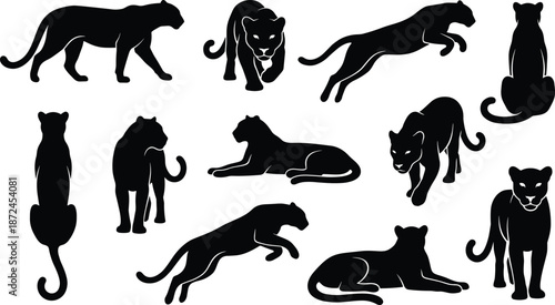 Big cat silhouette set, panther poses, leopard vector graphic, crouching feline icon, walking wild cat illustration, sitting panther clipart, lying leopard design, feline motion study