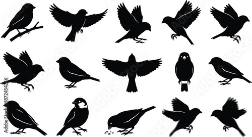 Bird silhouettes, flying birds, perched birds, black shapes, wing positions, gray background, nature art, educational, design resource, avian diversity