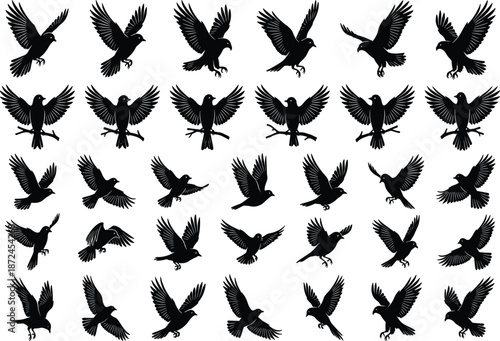 Bird silhouette grid, flying and perched poses, feather detail, black icons, flight motion, avian anatomy, nature illustration, gray background