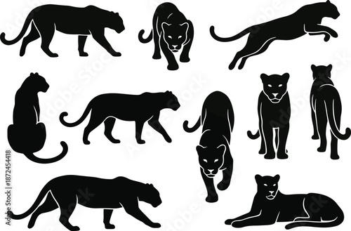 Black panther silhouettes, wild feline poses, jungle predator shapes, panther movement study, facial detail art, vector illustration, design elements