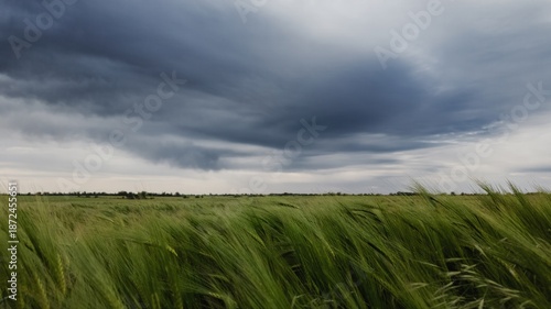 Storm clouds over green field