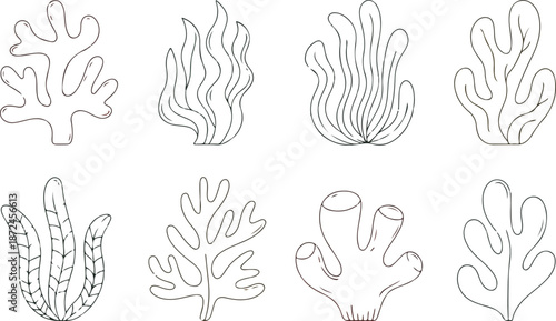 Coral & Seaweed Outline Icon Set  Underwater Plants and Marine Flora