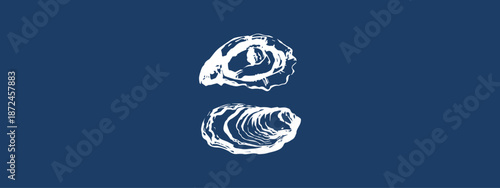 Oysters Shellfish Vector Illustration - Raw Oyster Shells Set and Isolated Seafood Design
