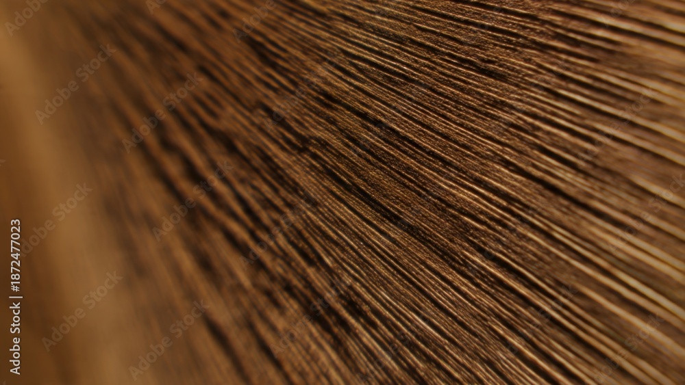 Obraz premium Brown Feather Texture