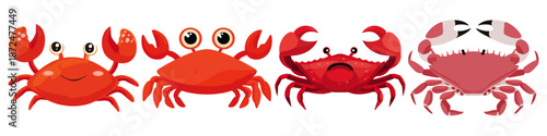 crab crustacean marine ocean sea shore beach Flat Vector Illustration on Transparent Background