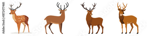 deer animal mammal antlers stag doe fawn Flat Vector Illustration on Transparent Background
