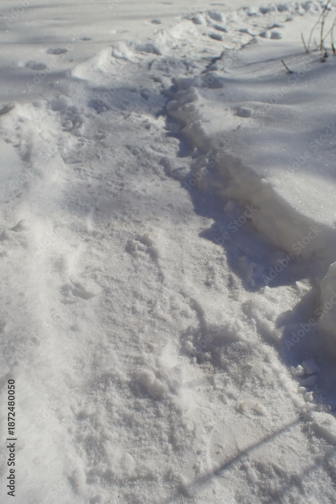 Fototapeta premium path in white snow on a winter day.