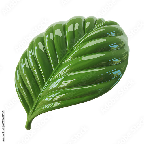 3D Realistic Green Leaf with Water Droplets for Nature and Organic Concept
