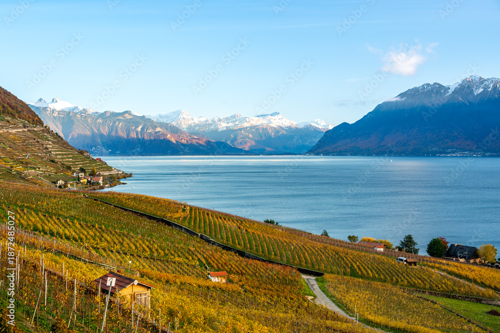 Obraz premium Lavaux vineyard terraces golden autumn landscape with Lake Geneva. Bourg-en-Lavaux, Canton of Vaud, Switzerland.