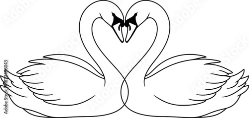 Graceful pair of swans forming a beautiful heart shape with their elegant necks symbolizing enduring love and romance line art