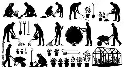 Planting and Watering Plants in a Greenhouse Environment