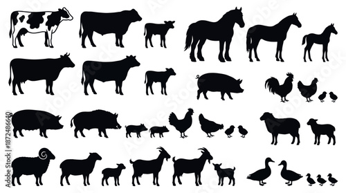 Cows, Horses, Pigs, and Chickens for Graphic Design and Illustration