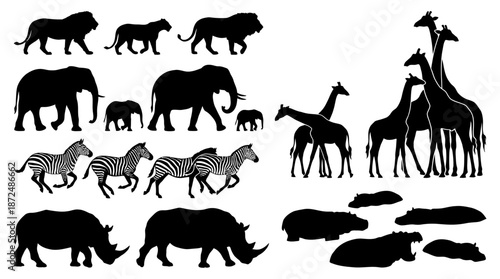 Elephants, Giraffes, Lions, Zebras, Rhinos Illustrations in a Scenic African Landscape