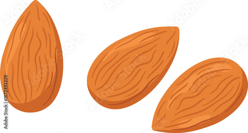 Almond nut illustration, healthy food graphic, organic snack design, nutrition symbol artwork, superfood vector drawing, culinary ingredient art, flat vector illustration