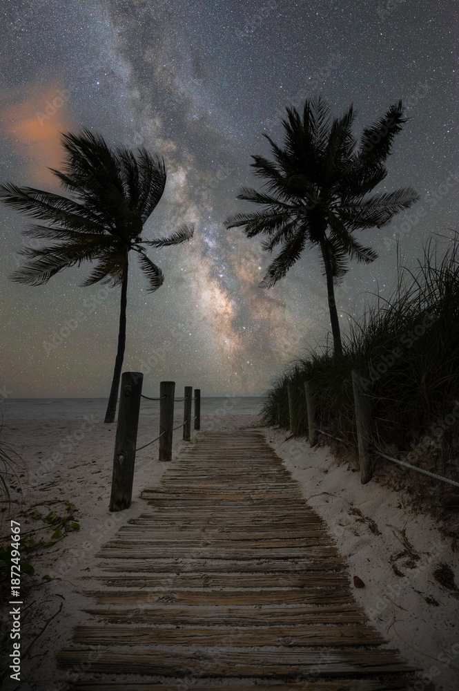 Fototapeta premium Beach path surrounded by Palm trees leading towards the Milky Way Galaxy in Key West Florida 