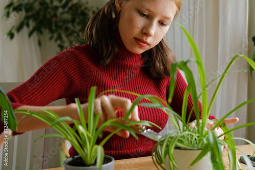 Photos Teen Girl watering plants