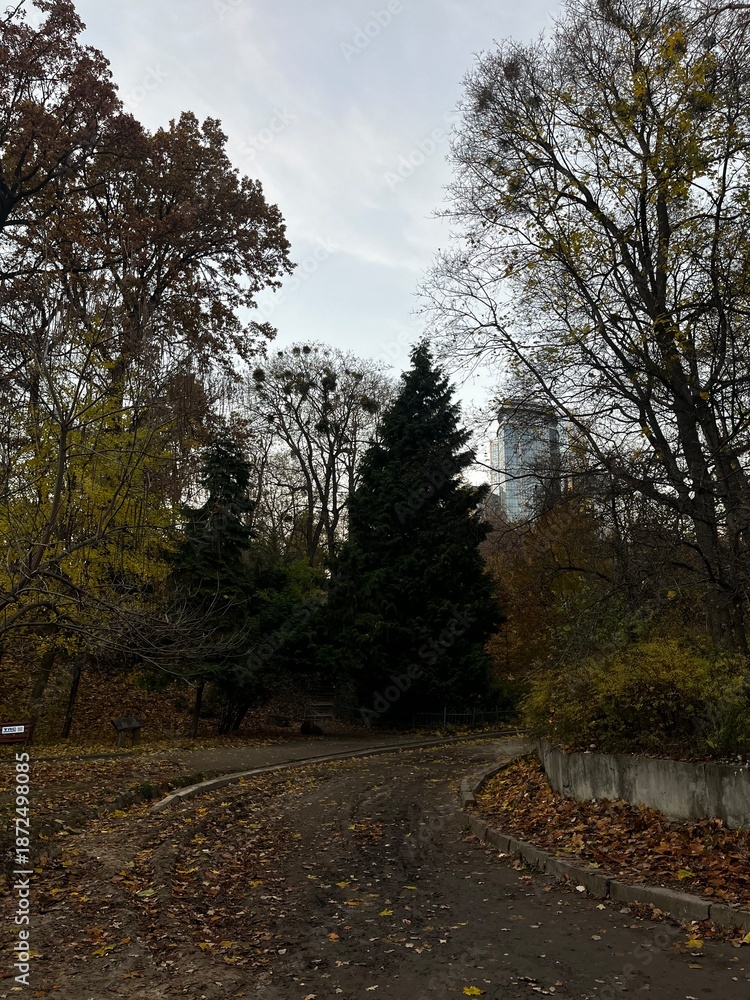 Fototapeta premium Late autumn landscape in the city park with bare trees and a winding path.