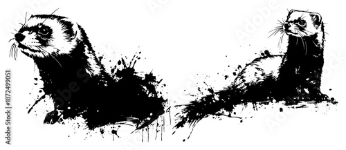 Two curious ferrets or weasels drawn with black grunge ink