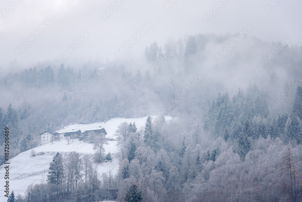 Obraz premium Snowy forest shrouded in freezing fog in the mountains on a winter morning. A farm is on a sloping snow covered meadow.