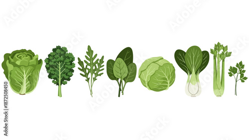 A vibrant collection of fresh green leafy vegetables, showcasing diverse textures and shapes, perfect for healthy eating and culinary inspiration